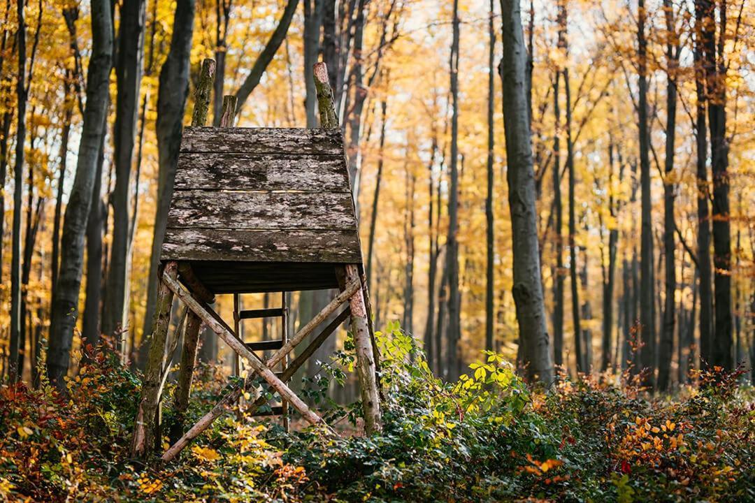 Kakukk Vendéglő Panzió Bánd Exterior foto